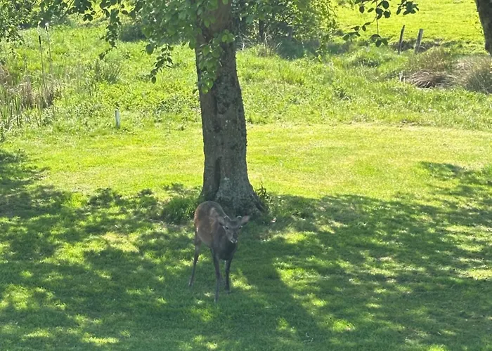 Vendégház Granite View 3*